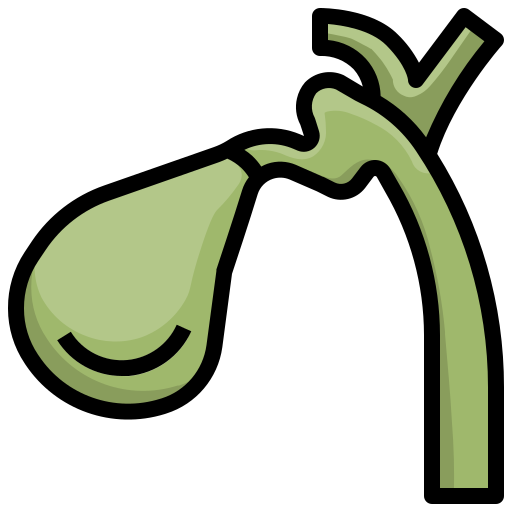 icon - /uploads/s/e/m/d/emdewqsnxgk5/img/full_LyZLTHrt.png