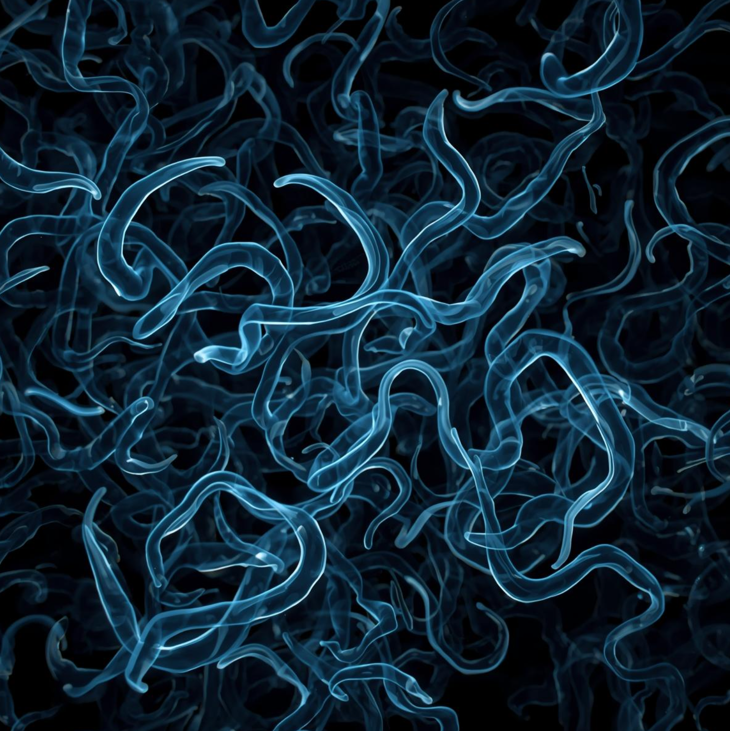 &nbsp;Онлайн-курс&nbsp; против паразитов&nbsp;