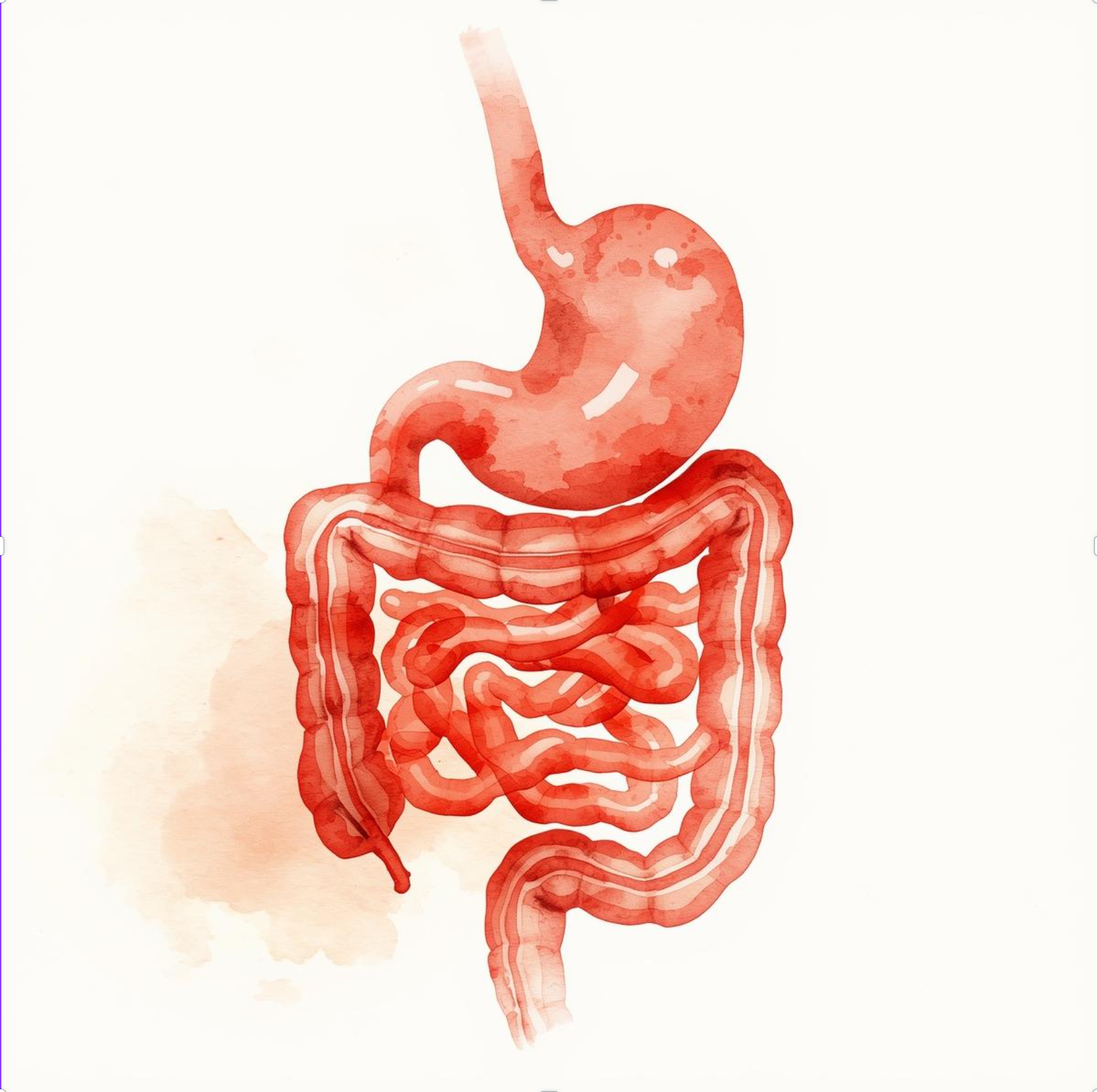 Чистый кишечник и здоровая микрофлора&nbsp;